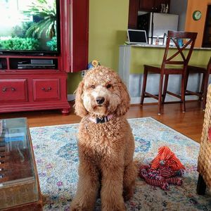 Meet your Posher, Mae